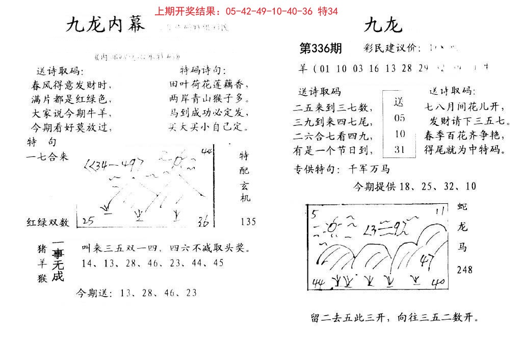 2024336期九龙内幕