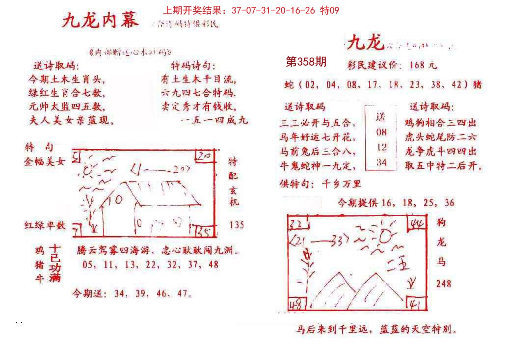 2024358期九龙内幕