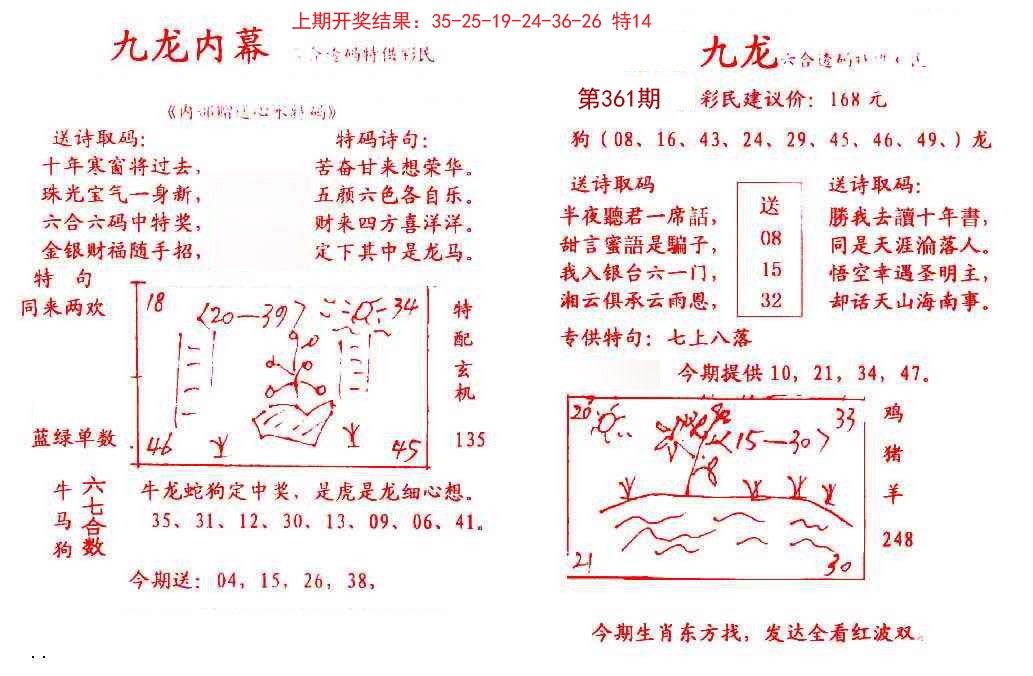 2024361期九龙内幕