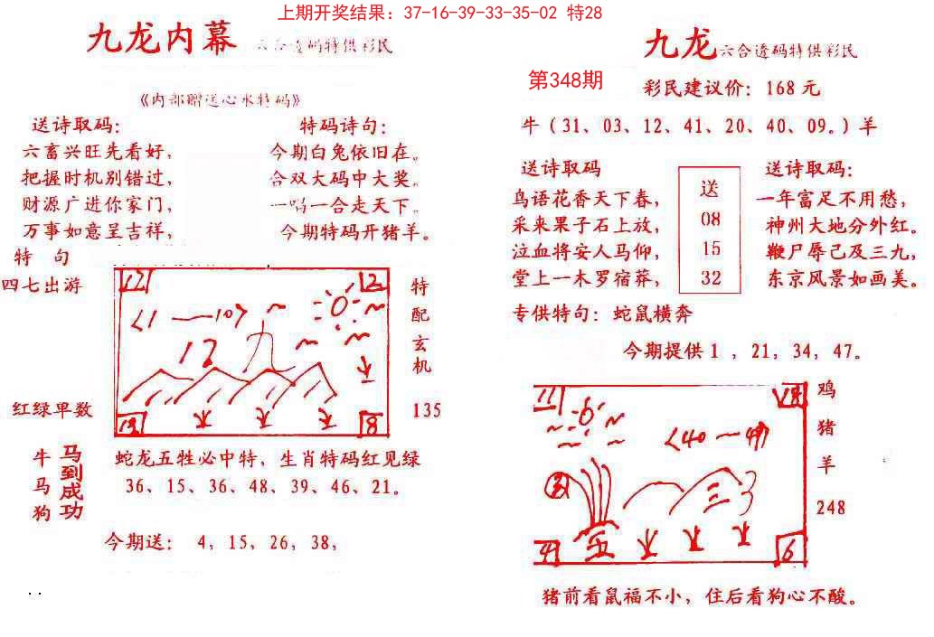 2024348期九龙内幕