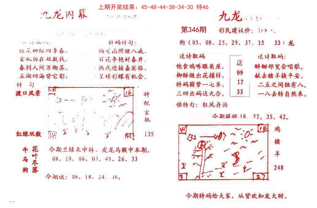 2024346期九龙内幕