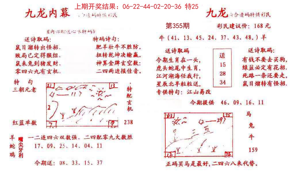 2024355期九龙内幕