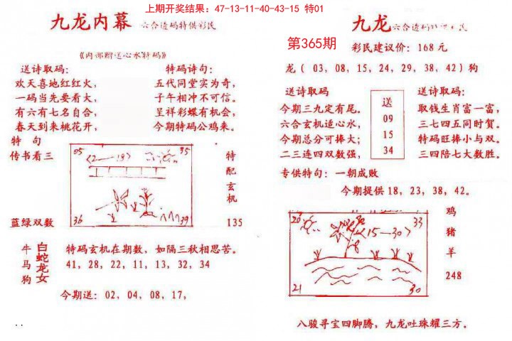 2024365期九龙内幕
