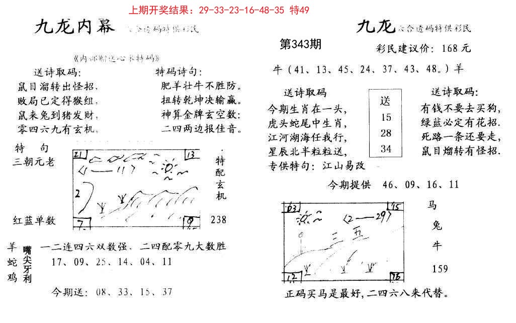 2024343期九龙内幕