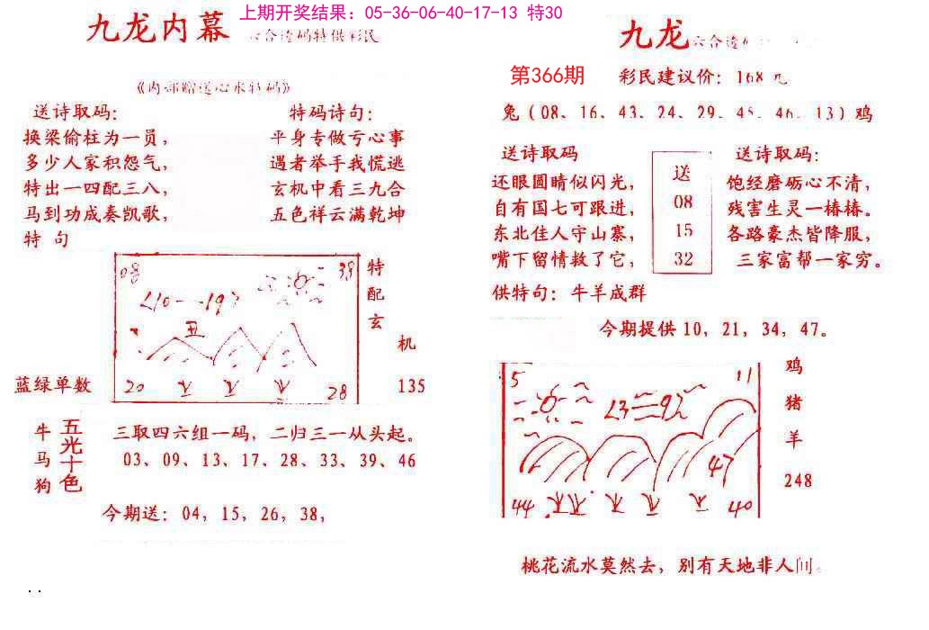 2024366期九龙内幕