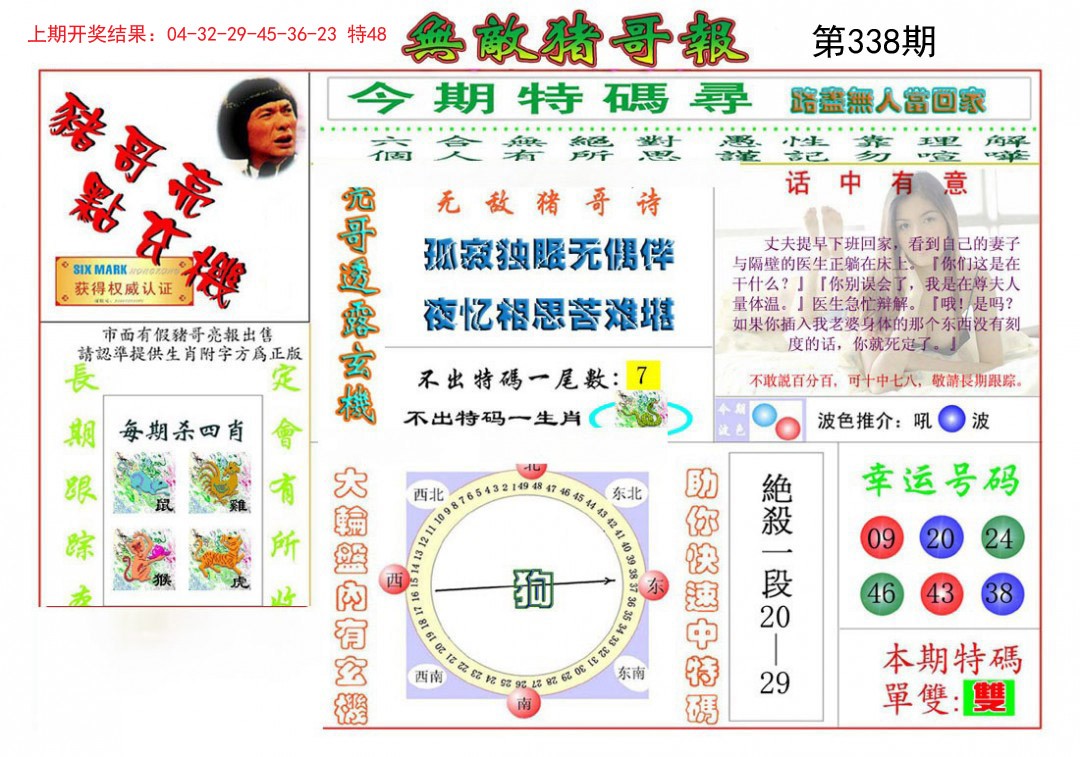 2024338期无敌猪哥
