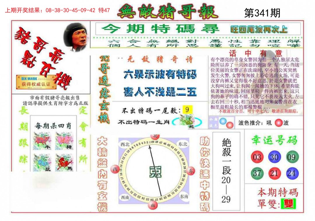 2024341期无敌猪哥