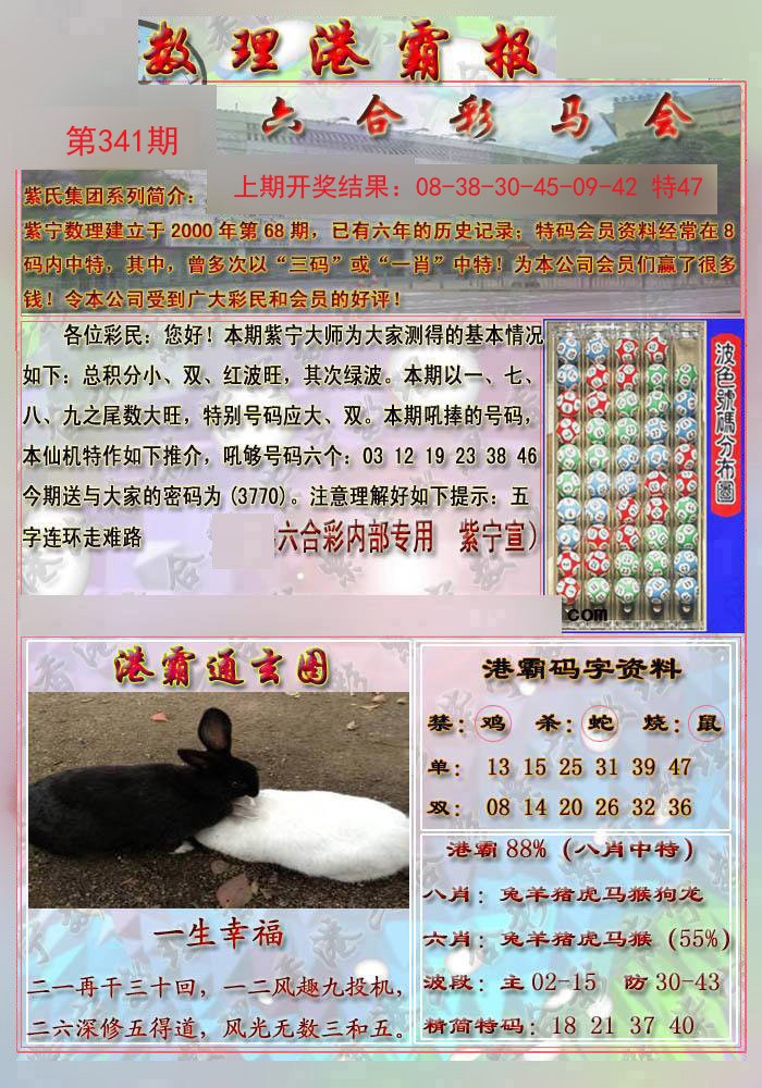 2024341期港霸报