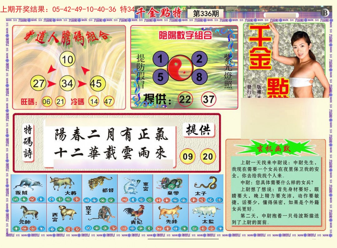 2024336期千金点特B