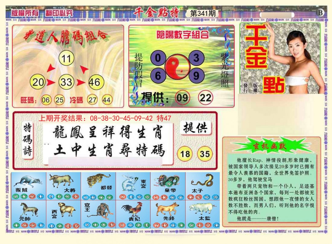 2024341期千金点特B