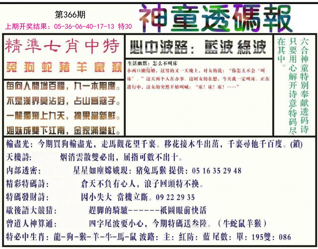 2024366期神童透码报