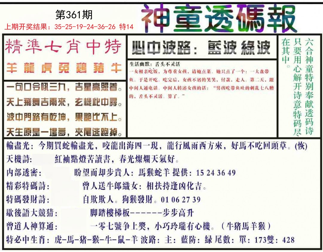 2024361期神童透码报