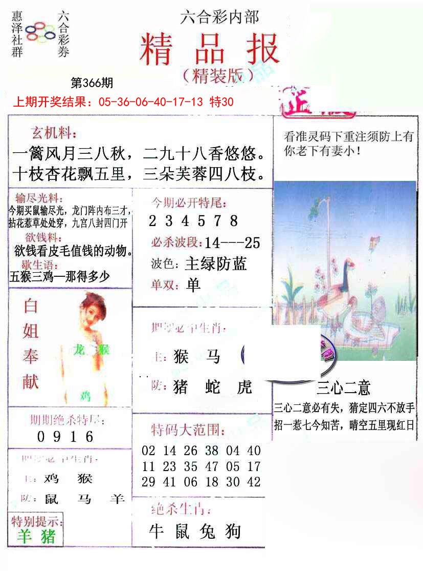 2024366期摇钱树