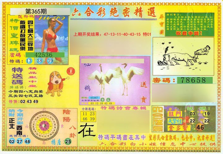 2024365期绝密精选A