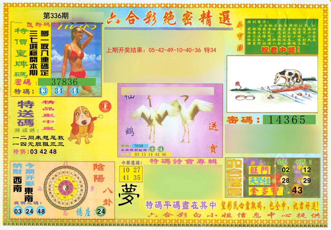 2024336期绝密精选A