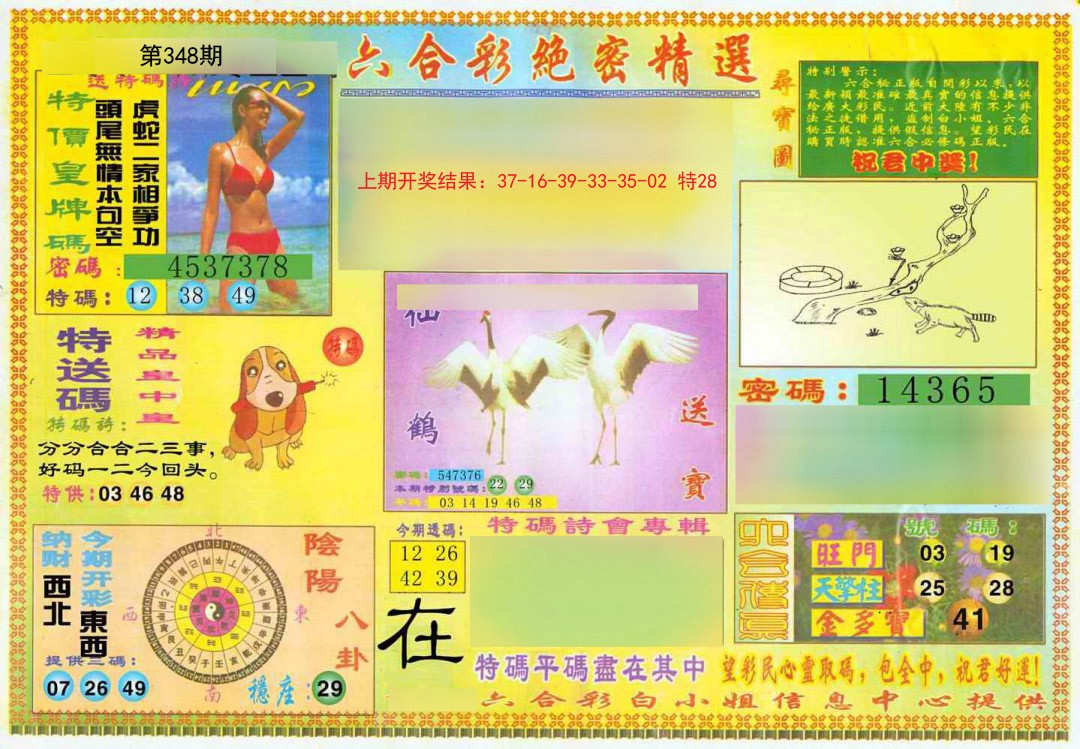 2024348期绝密精选A
