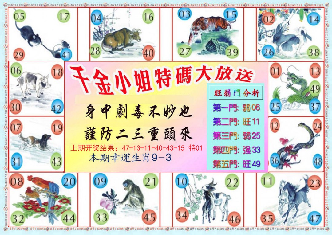 2024365期千金小姐B版