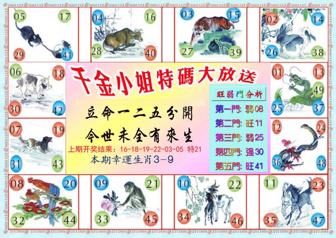 2024359期千金小姐B版