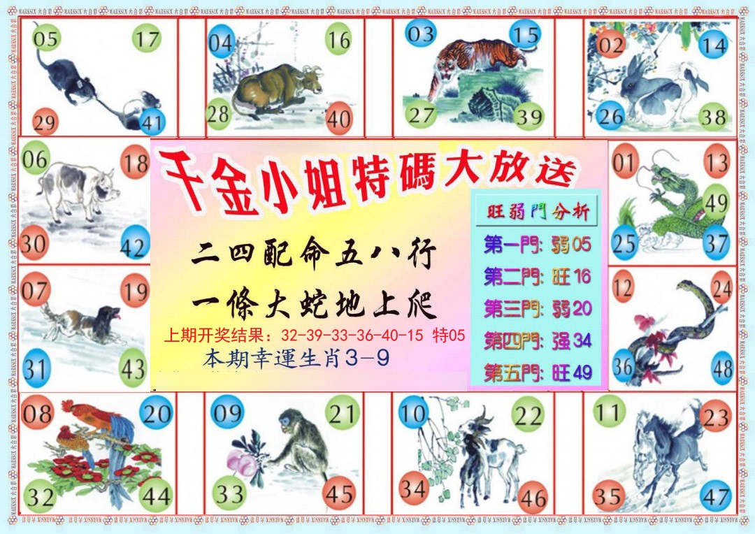 2024337期千金小姐B版