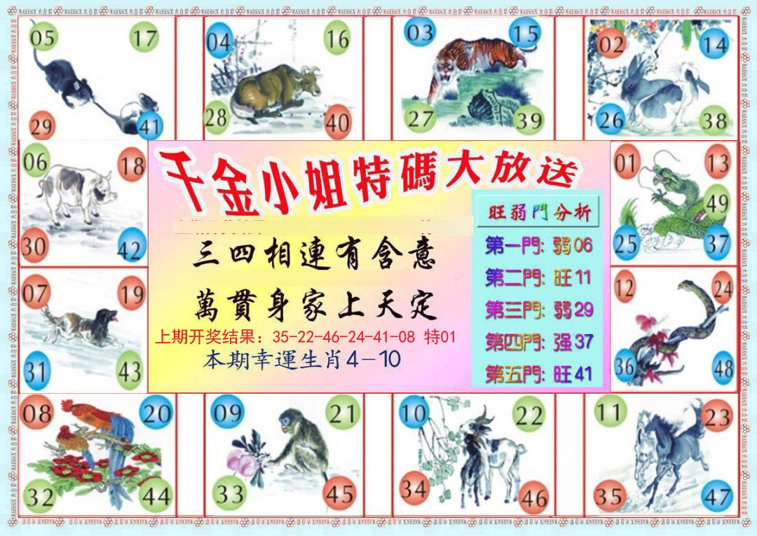 2024350期千金小姐B版