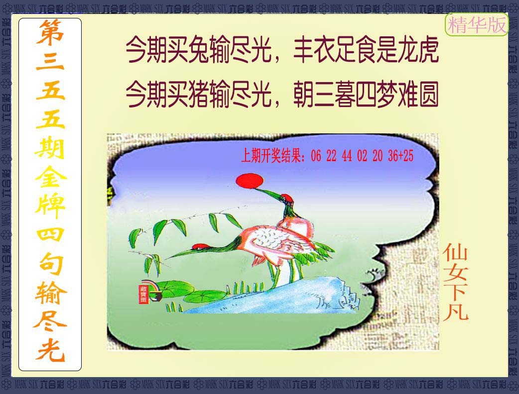2024355期金牌四句输尽光