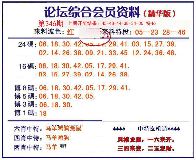 2024346期综合会员资料