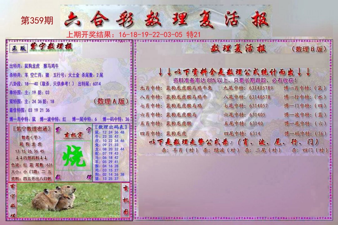2024359期数理复活报