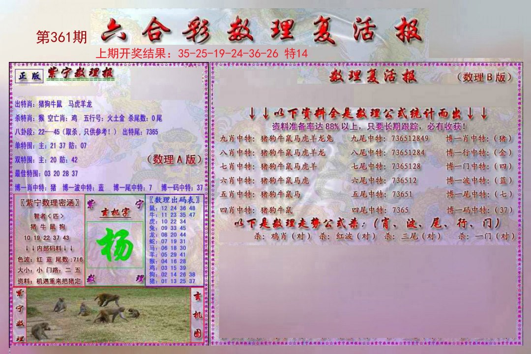 2024361期数理复活报