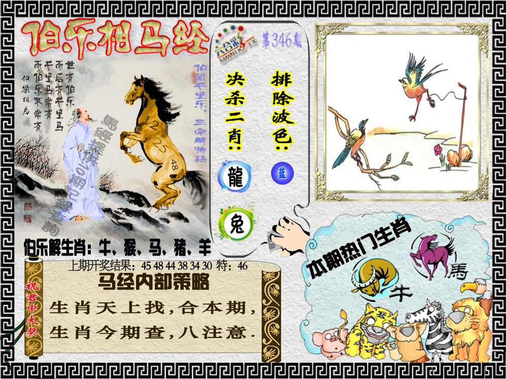 2024346期伯乐相马经