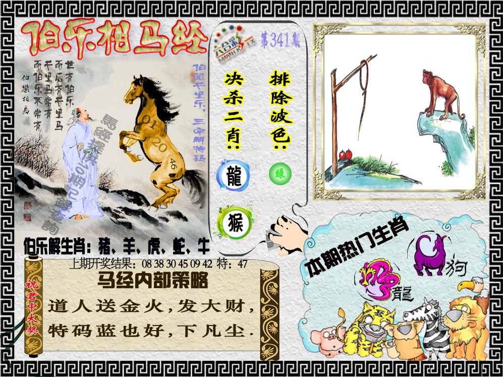 2024341期伯乐相马经