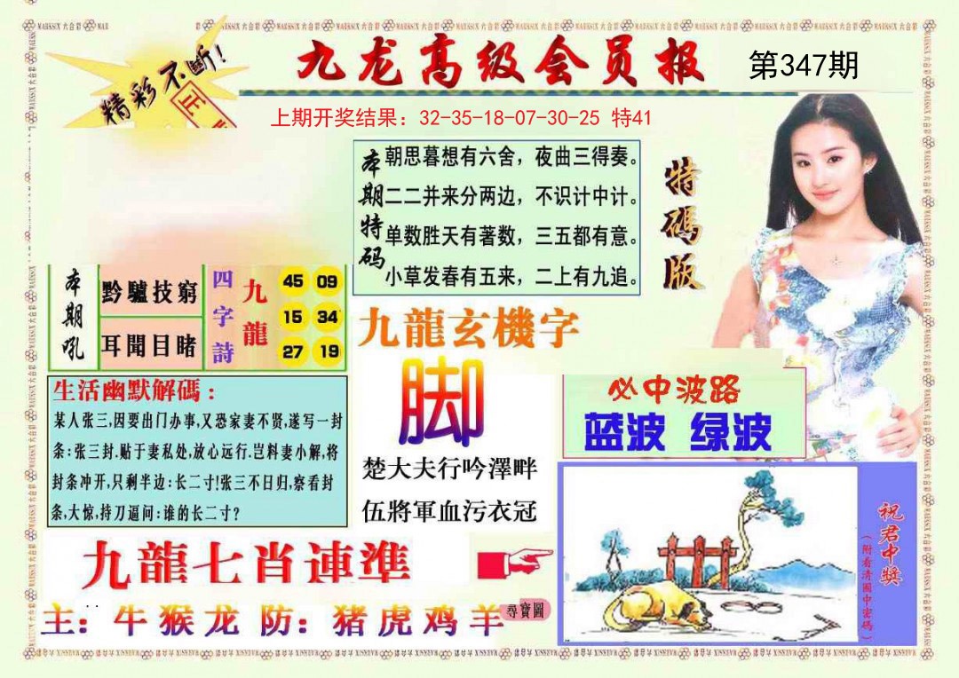 2024347期九龙高级会员报