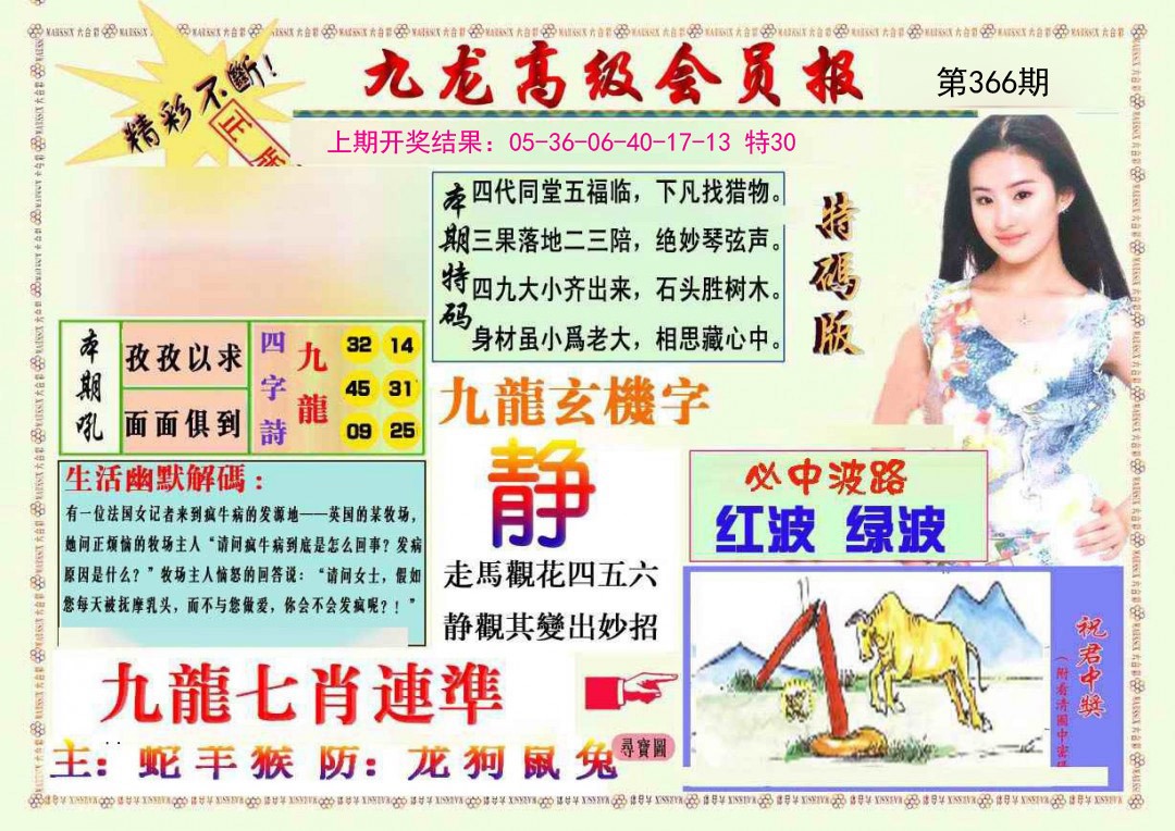 2024366期九龙高级会员报