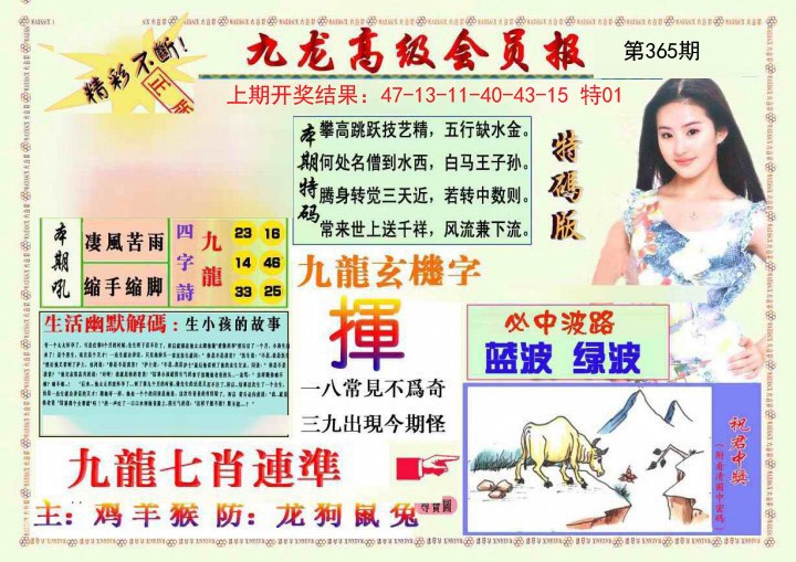 2024365期九龙高级会员报