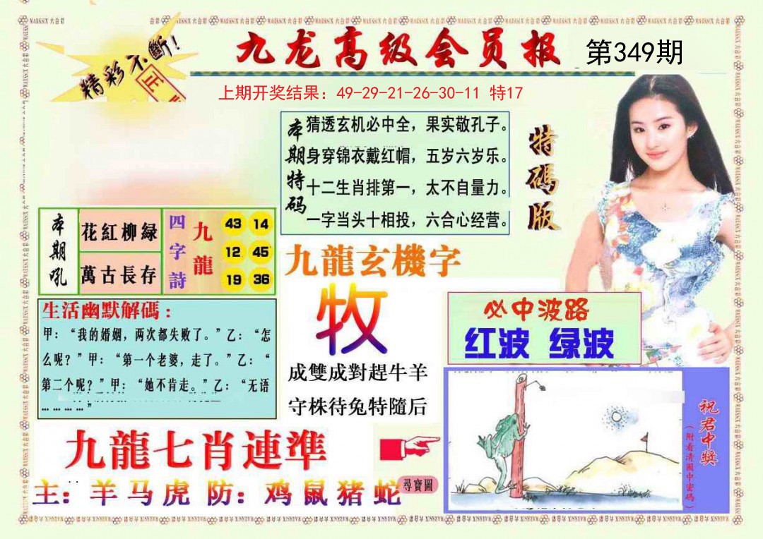 2024349期九龙高级会员报