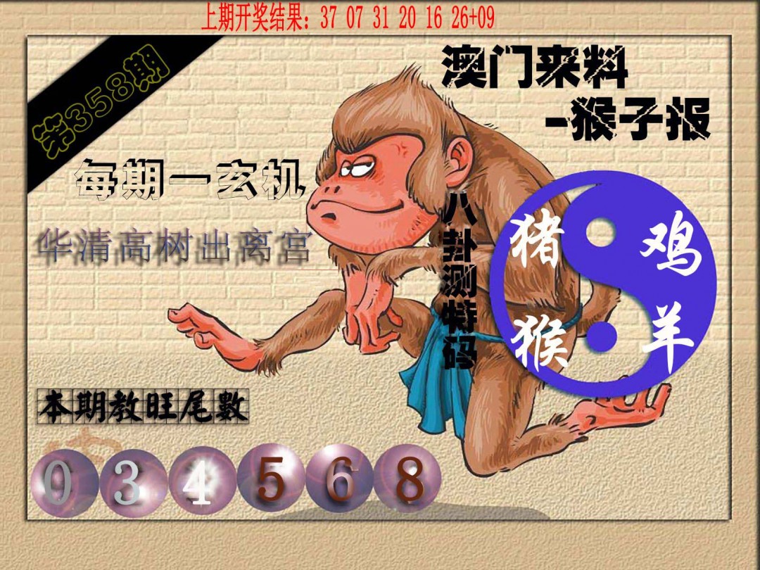 2024358期(来料)猴报