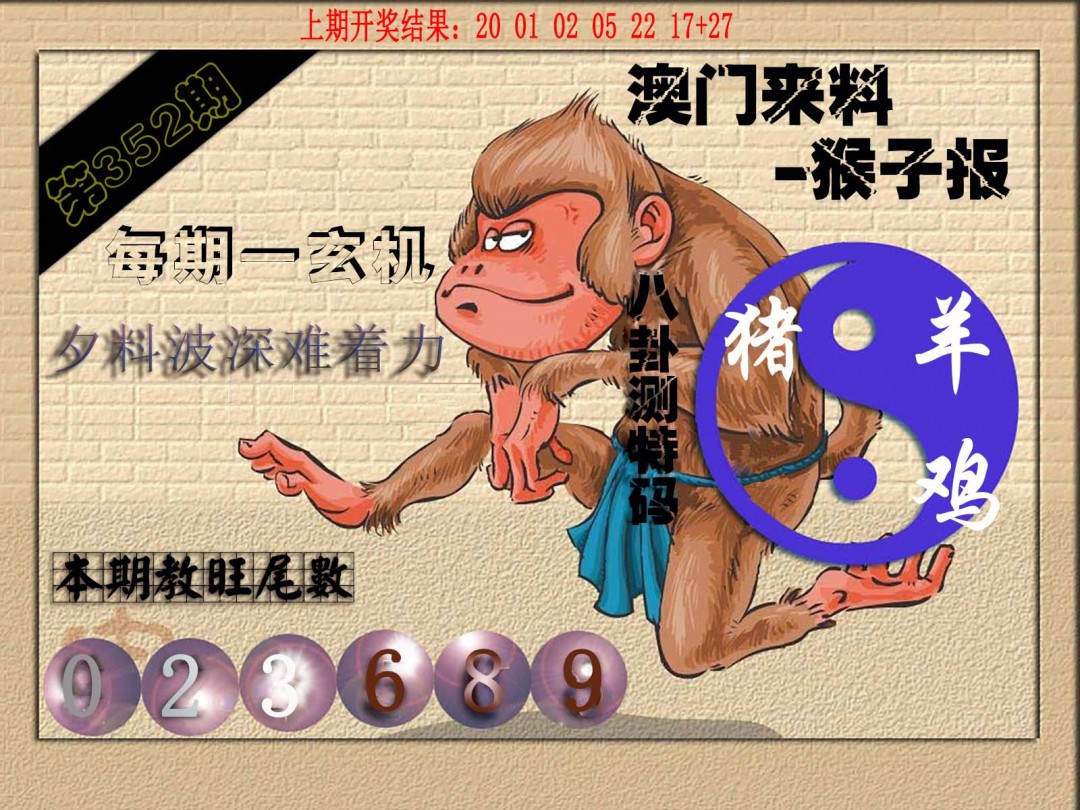 2024352期(来料)猴报
