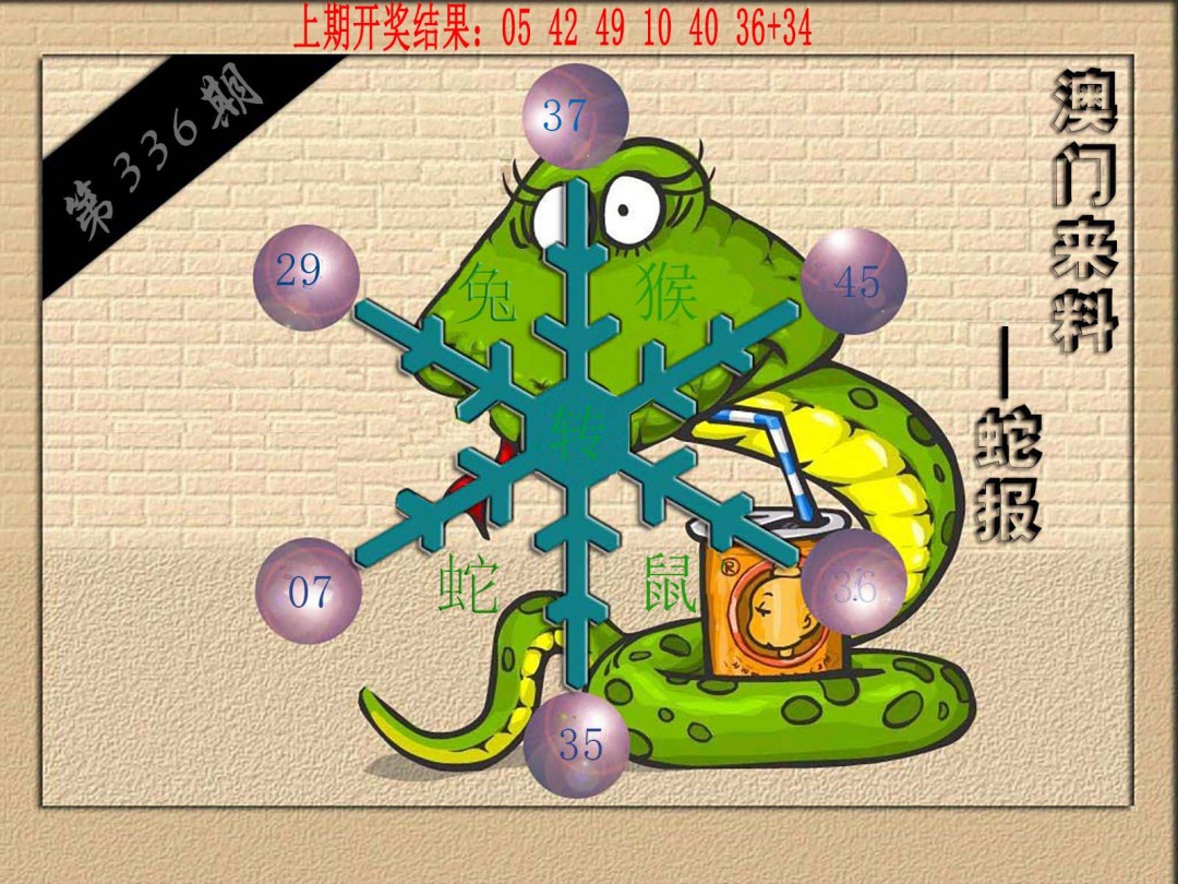 2024336期(来料)蛇报