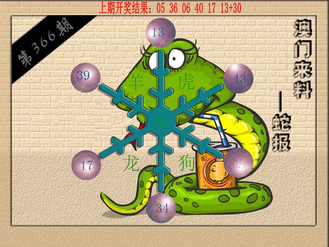 2024366期(来料)蛇报