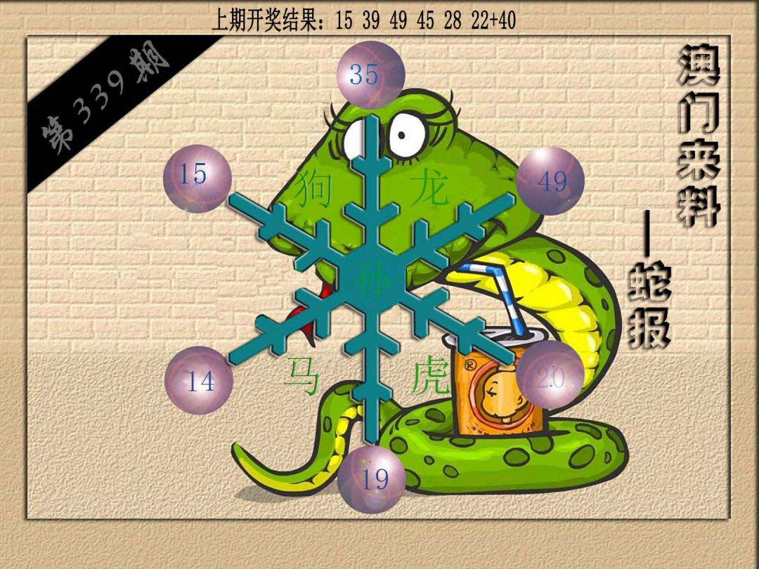 2024339期(来料)蛇报