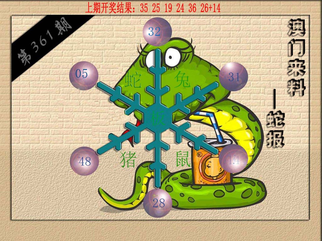 2024361期(来料)蛇报