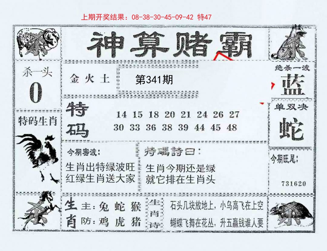 2024341期神算赌霸