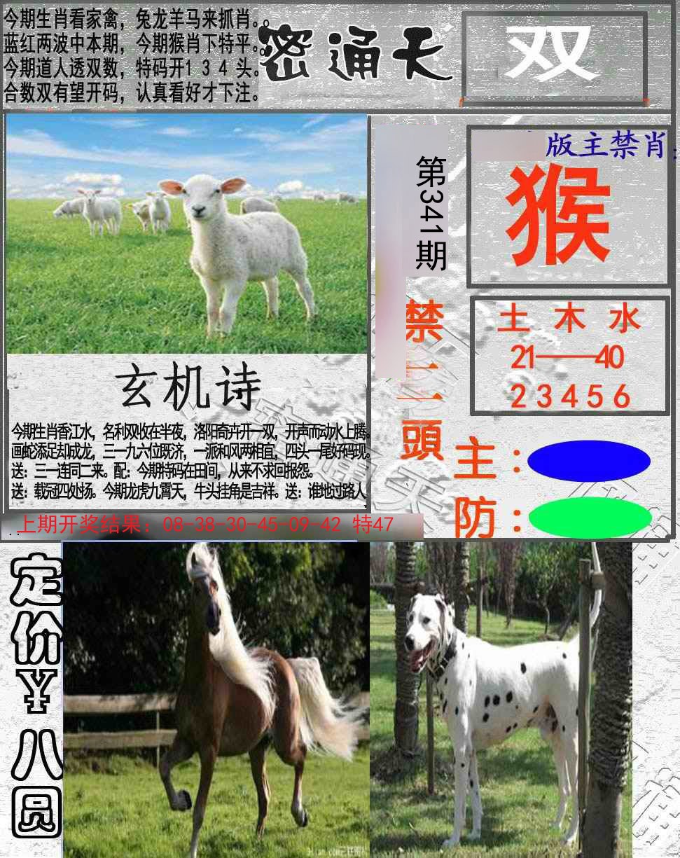 2024341期密通天