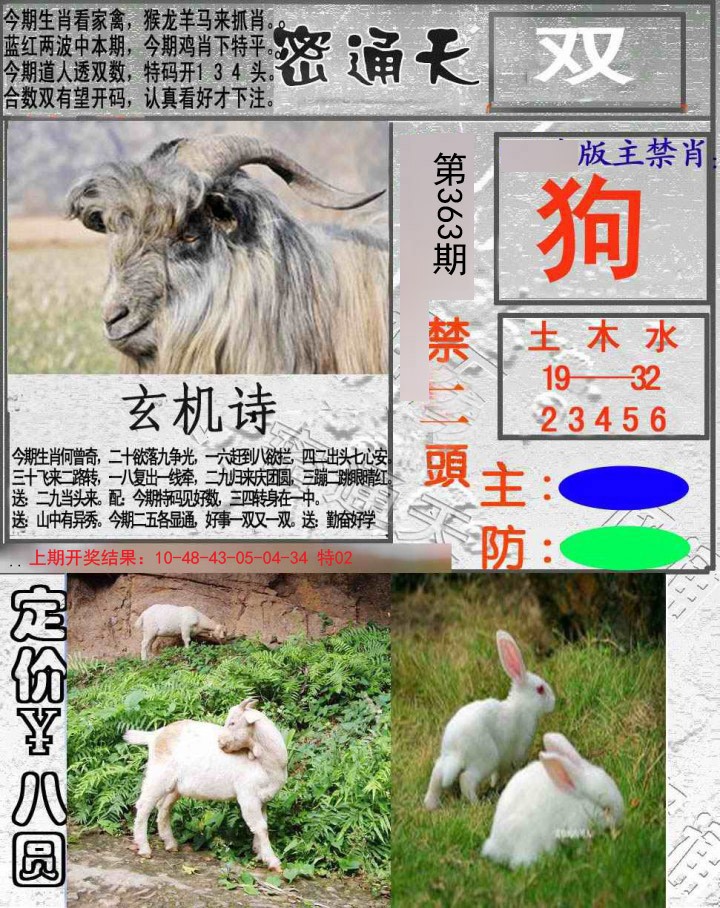 2024363期密通天