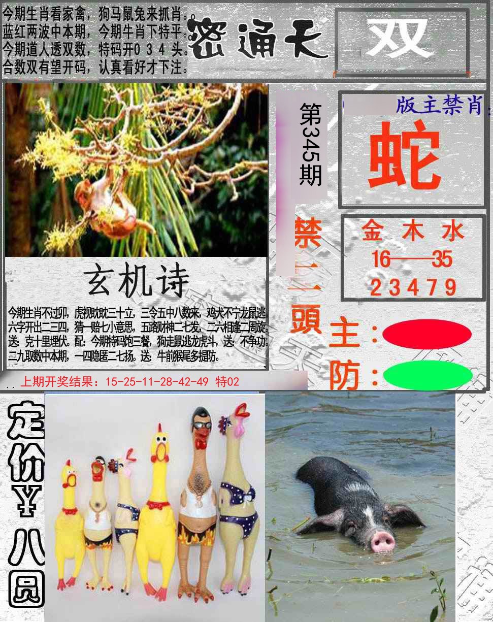 2024345期密通天