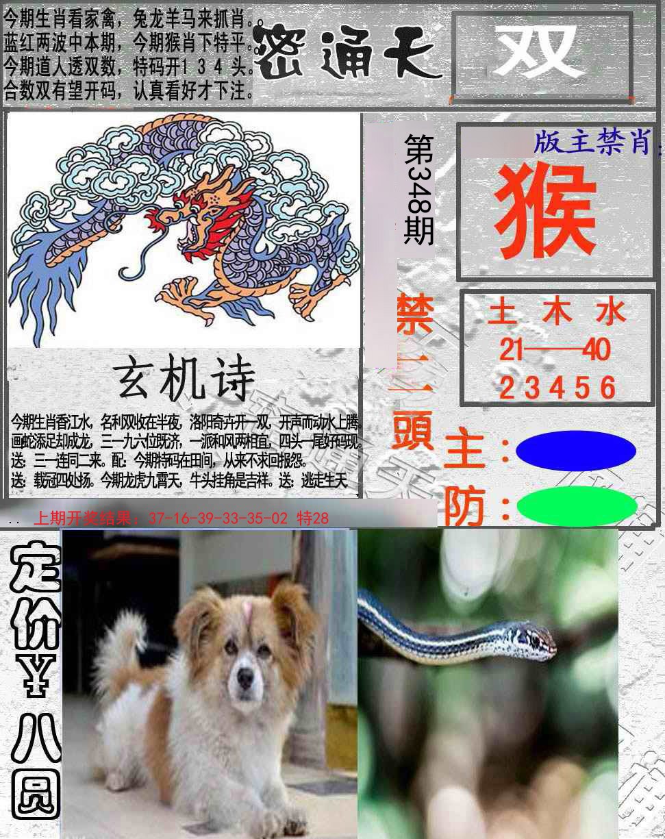 2024348期密通天