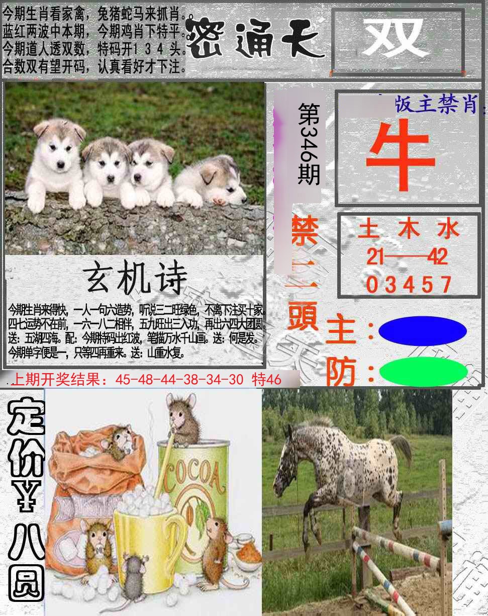 2024346期密通天