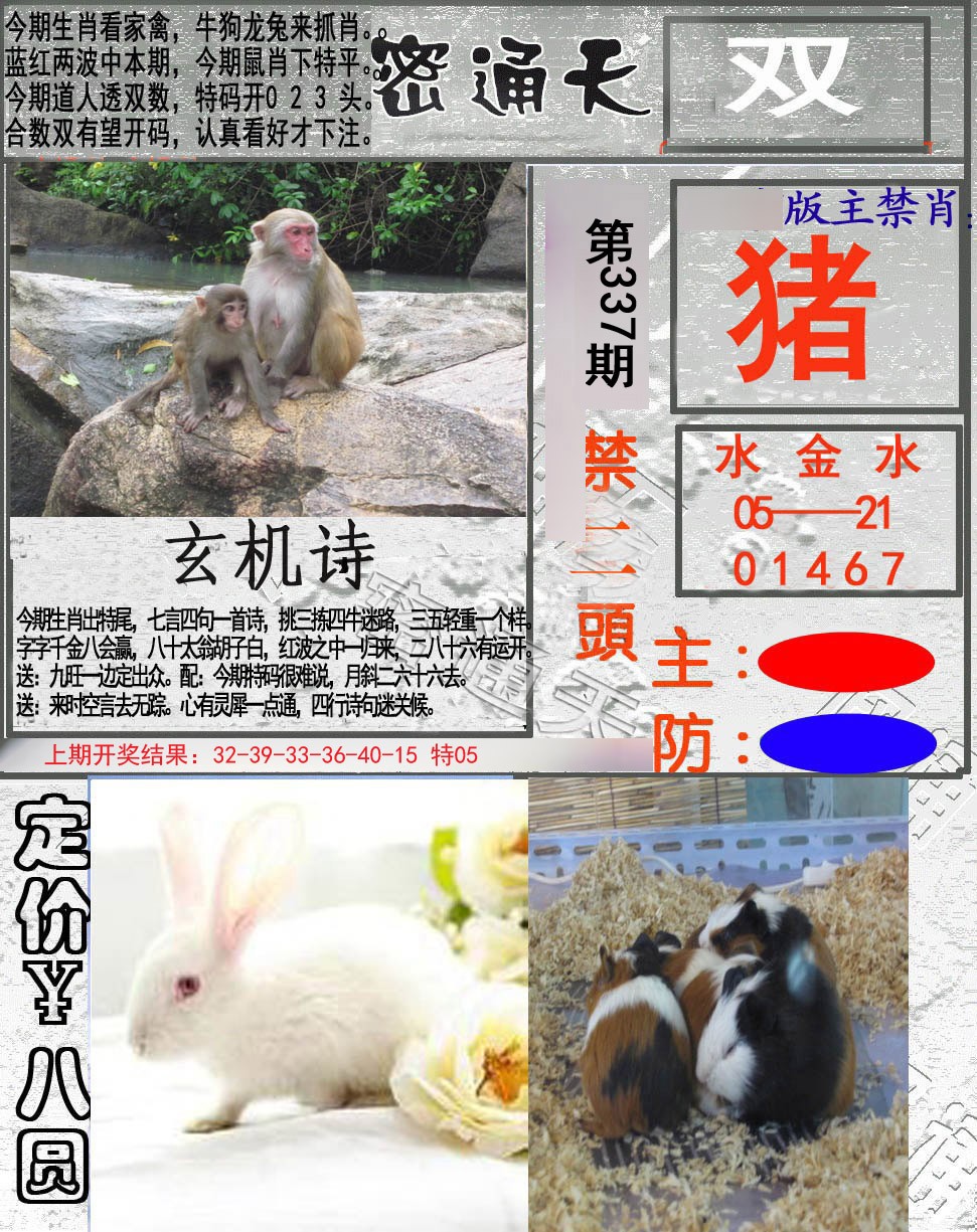 2024337期密通天