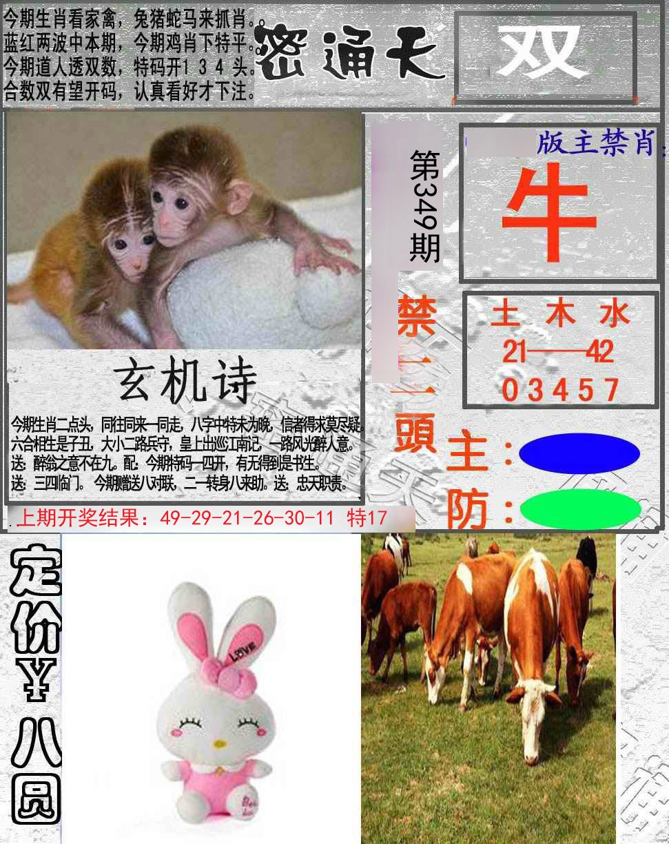 2024349期密通天