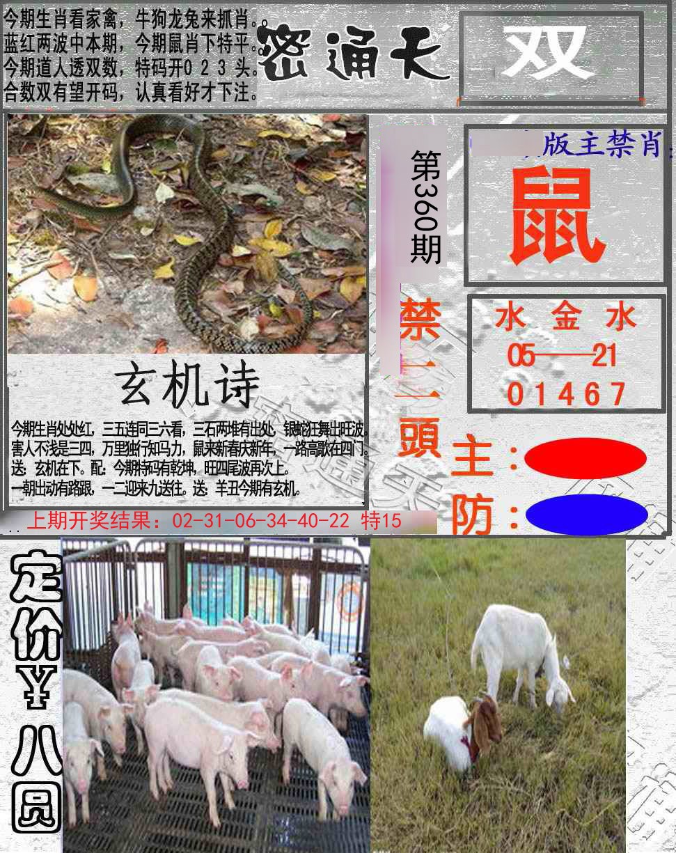 2024360期密通天