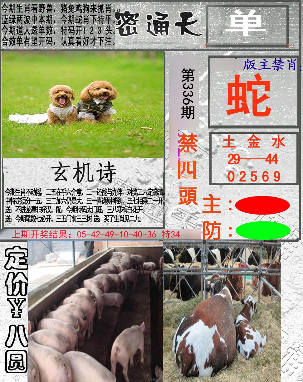 2024336期密通天